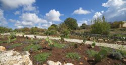 Valle D’Itria – Ceglie Messapica in posizione panoramica splendida dimora con piscina