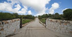 Valle D’Itria – Ceglie Messapica in posizione panoramica splendida dimora con piscina