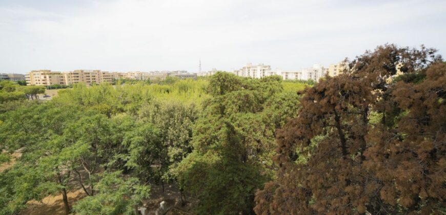 Viale Roma appartamento luminosissimo in buono stato comoda metratura con ampia veranda