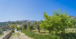 Gagliano del Capo immersa nel verde e a pochissimi minuti a piedi dal mare elegante villa con piscina