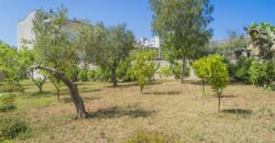 Gagliano del Capo immersa nel verde e a pochissimi minuti a piedi dal mare elegante villa con piscina