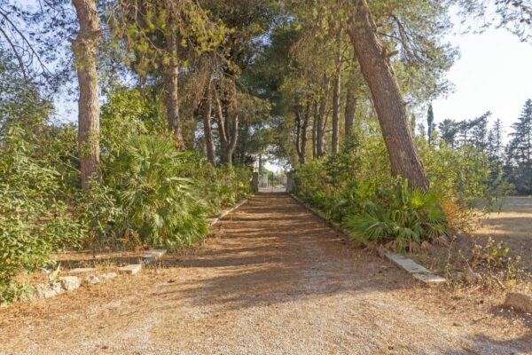 Eleganza e Fascino nel Cuore del Salento: Un Antico Casino di Caccia ad Arnesano