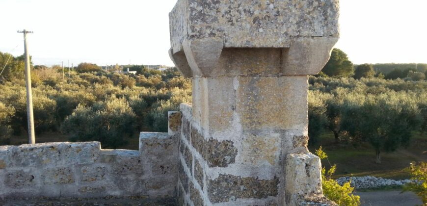 Castrignano De Greci, nel cuore della Grecìa Salentina, antica masseria da ristrutturare