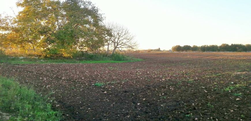 Castrignano De Greci, nel cuore della Grecìa Salentina, antica masseria da ristrutturare