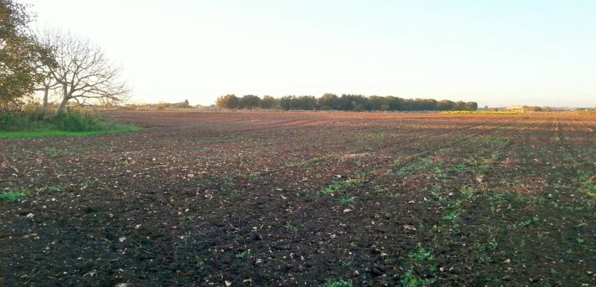 Castrignano De Greci, nel cuore della Grecìa Salentina, antica masseria da ristrutturare