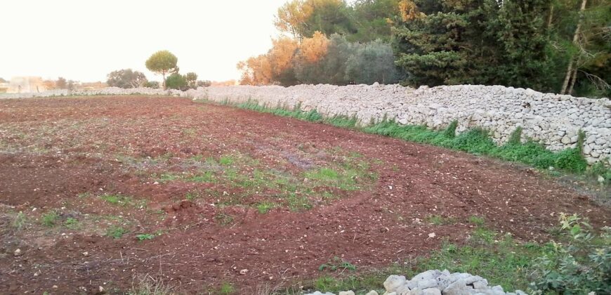 Castrignano De Greci, nel cuore della Grecìa Salentina, antica masseria da ristrutturare