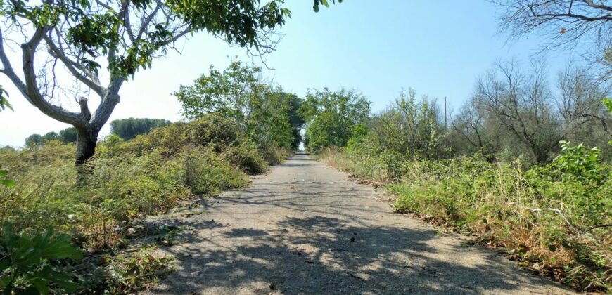 Castrignano De Greci, nel cuore della Grecìa Salentina, antica masseria da ristrutturare