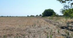 Castrignano De Greci, nel cuore della Grecìa Salentina, antica masseria da ristrutturare