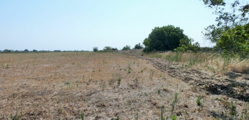 Castrignano De Greci, nel cuore della Grecìa Salentina, antica masseria da ristrutturare