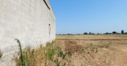 Castrignano De Greci, nel cuore della Grecìa Salentina, antica masseria da ristrutturare