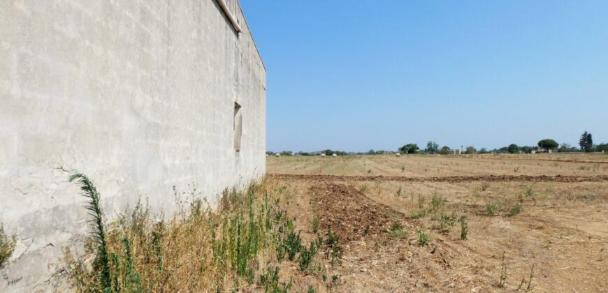 Castrignano De Greci, nel cuore della Grecìa Salentina, antica masseria da ristrutturare