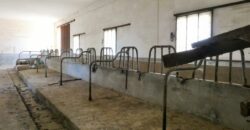 Castrignano De Greci, nel cuore della Grecìa Salentina, antica masseria da ristrutturare