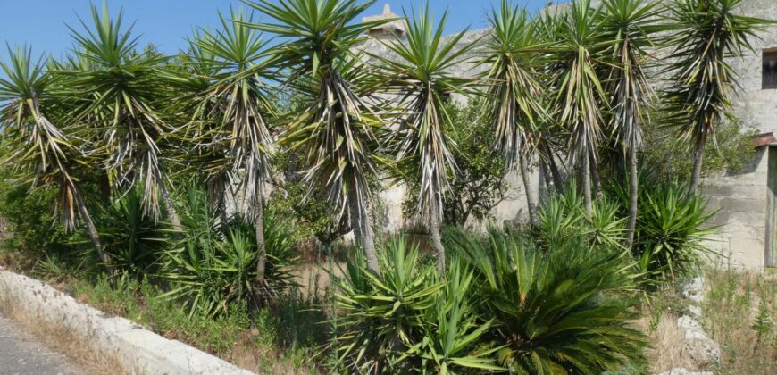 Castrignano De Greci, nel cuore della Grecìa Salentina, antica masseria da ristrutturare