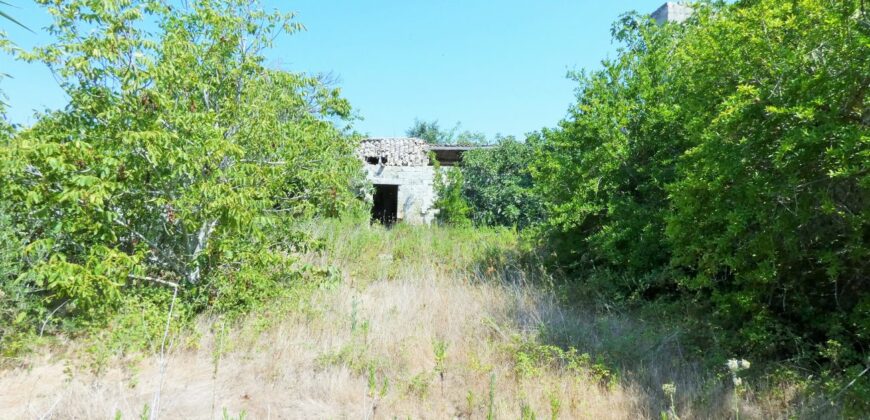 Castrignano De Greci, nel cuore della Grecìa Salentina, antica masseria da ristrutturare