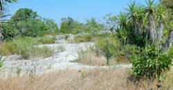 Castrignano De Greci, nel cuore della Grecìa Salentina, antica masseria da ristrutturare