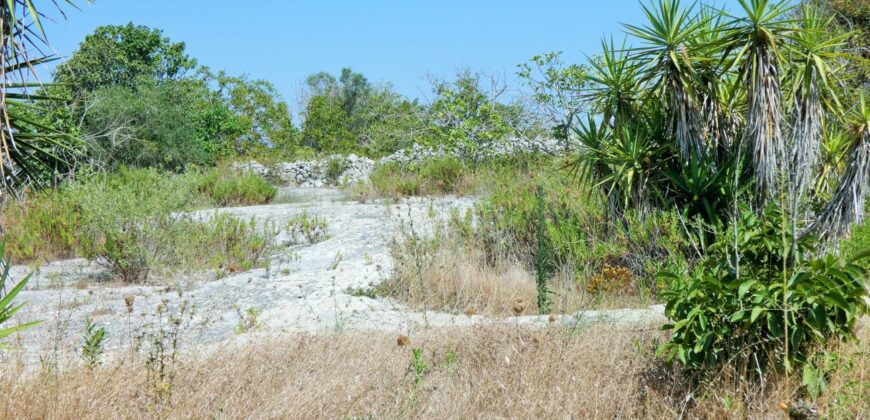 Castrignano De Greci, nel cuore della Grecìa Salentina, antica masseria da ristrutturare