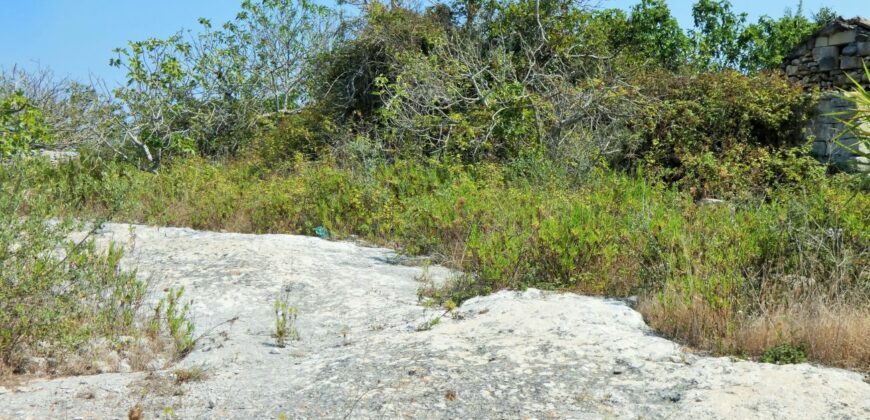 Castrignano De Greci, nel cuore della Grecìa Salentina, antica masseria da ristrutturare