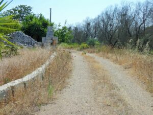 P1080384 - Agenzia Immobiliare Lecce - Lusso, Appartamenti, Case, Ville