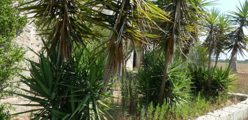 Castrignano De Greci, nel cuore della Grecìa Salentina, antica masseria da ristrutturare