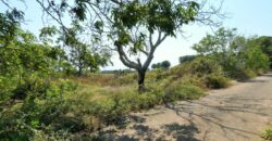 Castrignano De Greci, nel cuore della Grecìa Salentina, antica masseria da ristrutturare