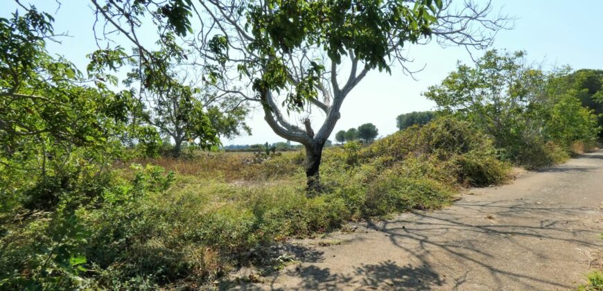 Castrignano De Greci, nel cuore della Grecìa Salentina, antica masseria da ristrutturare