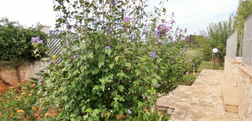 Torre Lapillo a mt.500 dalle acque cristalline villa con giardino