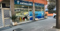 V.le Della Libertà  Locale Commerciale con ottimo rendimento